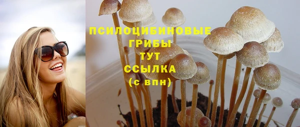шишки Абаза