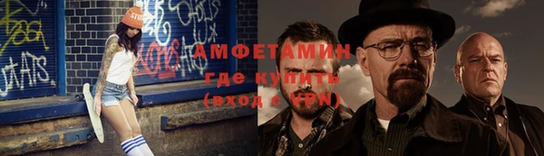 шишки Абаза
