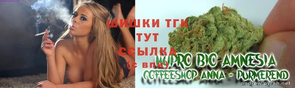 шишки Абаза