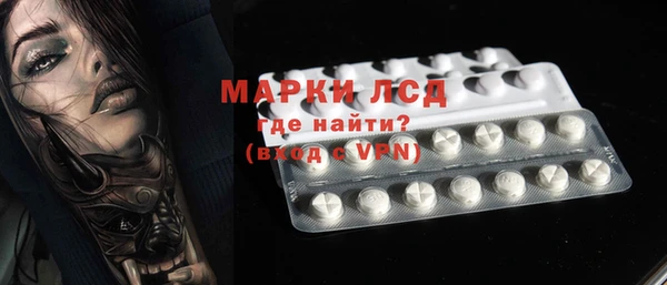 шишки Абаза