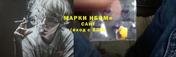 шишки Абаза