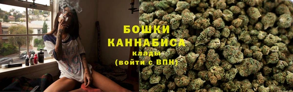 шишки Абаза