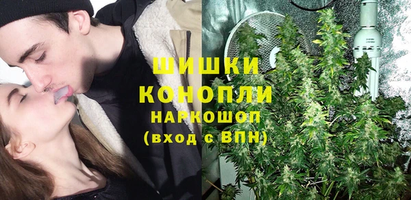 шишки Абаза