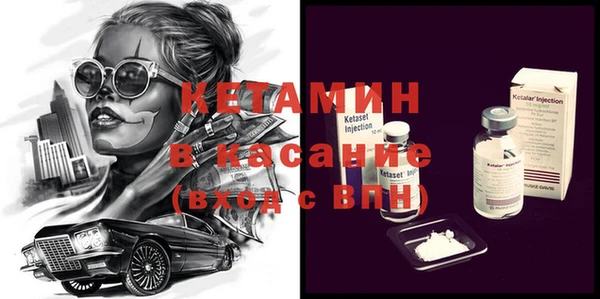 шишки Абаза