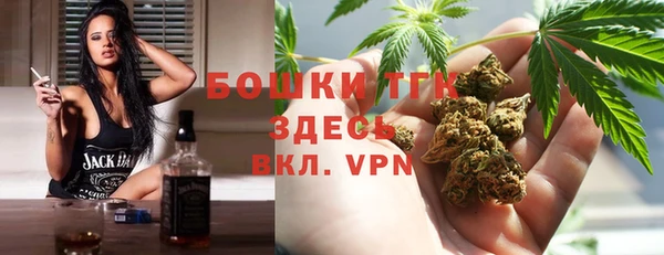 шишки Абаза