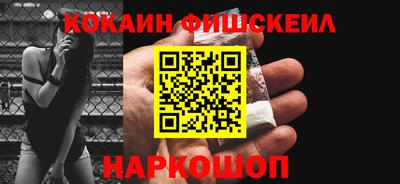 крисы Кулебаки