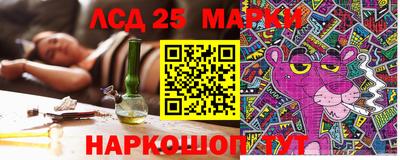 крисы Кулебаки