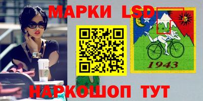 крисы Кулебаки