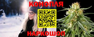 крисы Кулебаки