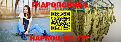 крисы Кулебаки