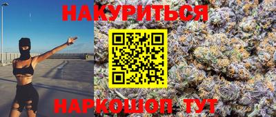 крисы Кулебаки