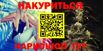 крисы Кулебаки