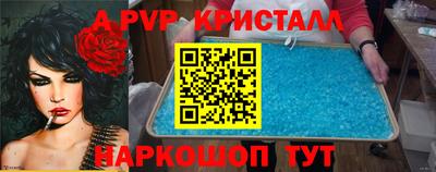 крисы Кулебаки